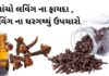 Laving na Fayda in Gujarati- લવિંગ ના ફાયદા - health benefits of Cloves in Gujarati