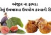 Anjir na Fayda in Gujarati - અંજીર ના ફાયદા - Anjir Health Benefits in Gujarati - Fig Health benefits in Gujarati