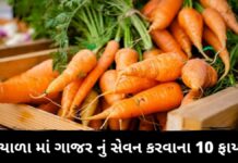 Gajar na fayda in Gujarati - Gajar Health Benefits in Gujarati - Gajar Benefits in Gujarati - Gajar na fayda - ગાજર ના ફાયદા