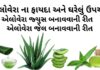 એલોવેરા ના ફાયદા - એલોવેરા જ્યુસ ના ફાયદા - એલોવેરા જ્યુસ બનાવવાની રીત- Aloe Vera Na Fayda in Gujarati- elovera fayda in Gujarati