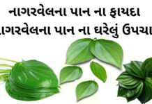 nagarvel na pan na fayda - nagarvel pan benefits in Gujarati - નાગરવેલ પાન ફાયદા