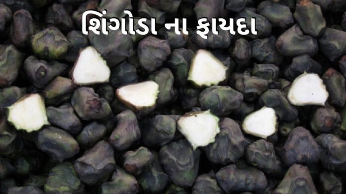 singhoda fayda in Gujarati - શિંગોડા ના ફાયદા