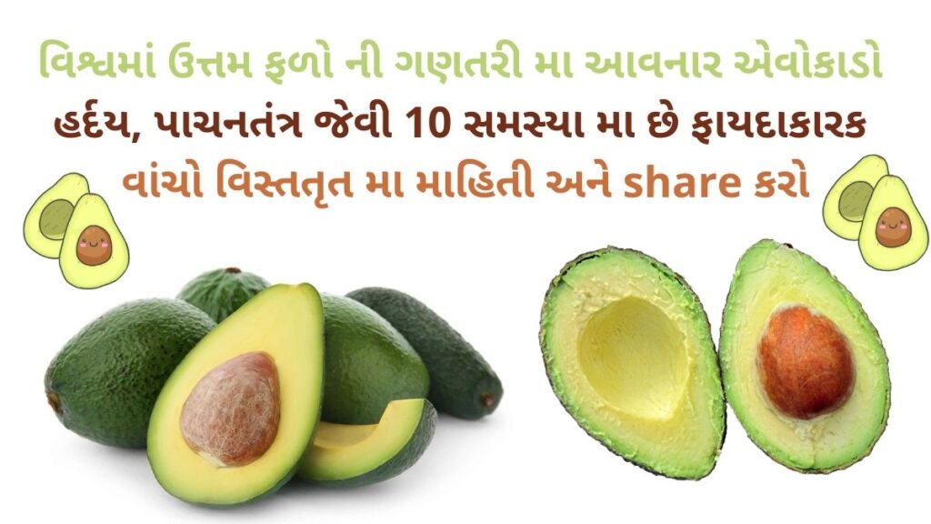 avocado-na-fayda-avocado-benefits-in-gujarati